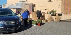 People walk around boxes and potted plants to load a car with items.