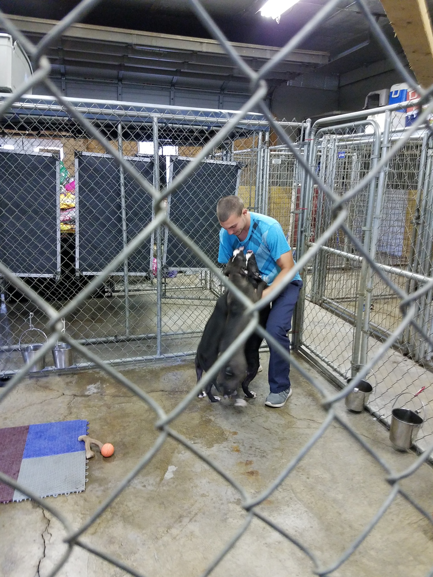 BCC - 2018 Sept - Animal Shelter Volunteering14.jpg