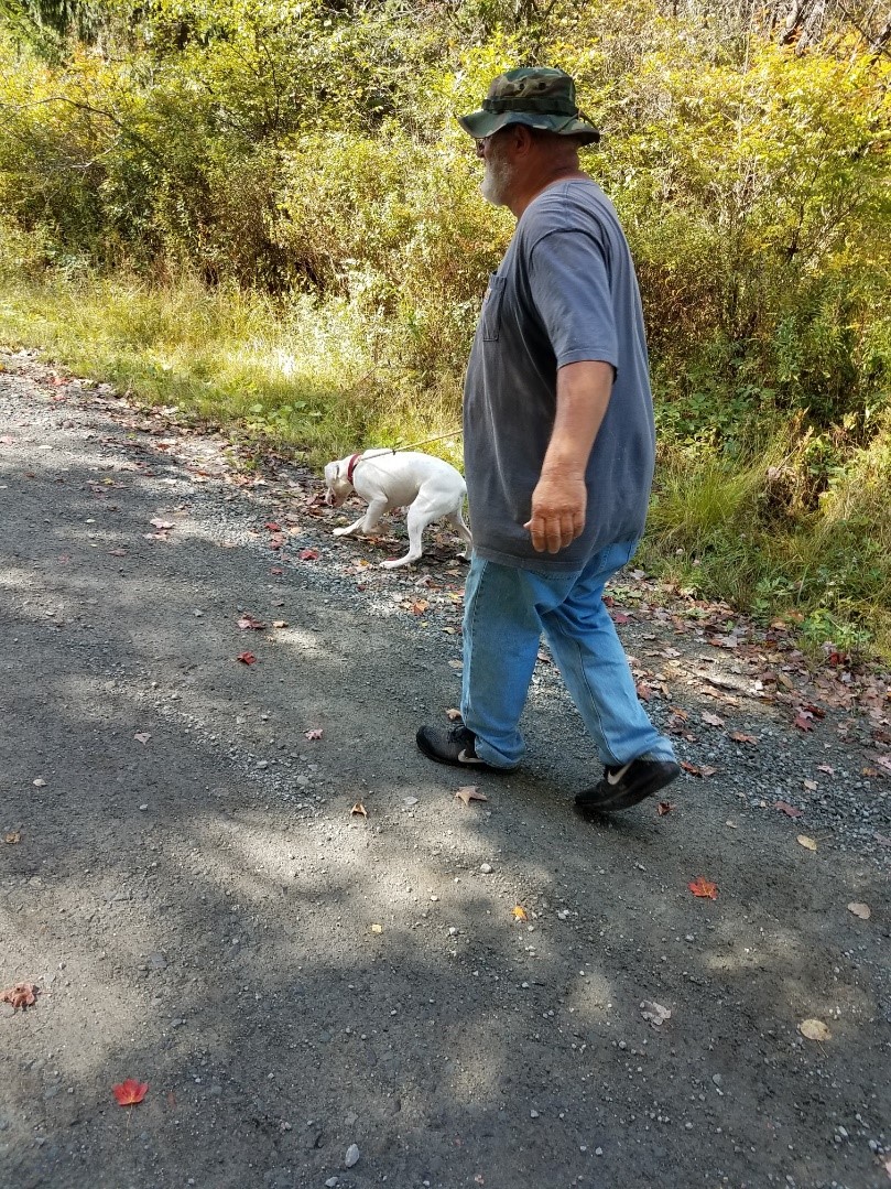 A man walks a dog