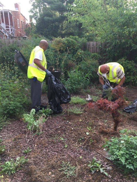 Reentrants help clean up brush at the YMCA