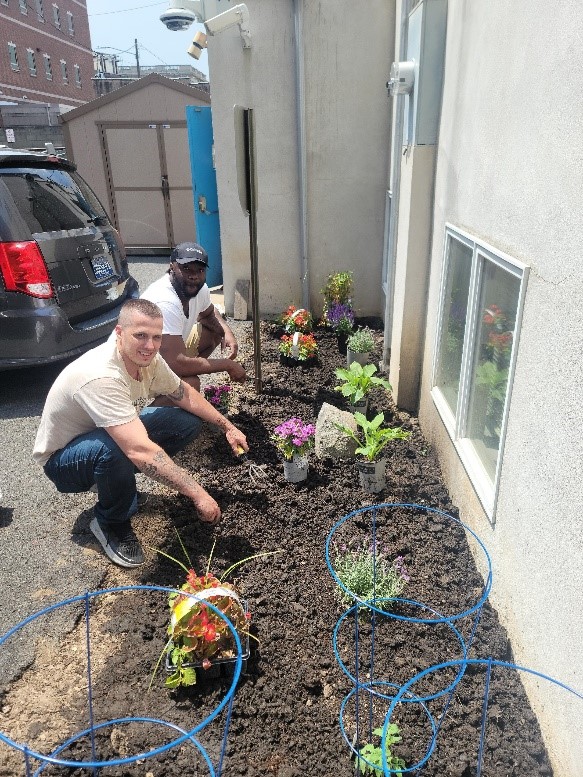 Two men plant flowers in the dirt