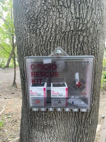 An opioid rescue kit with Narcan hanging from a tree
