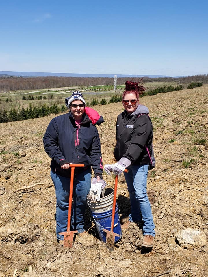 Two DOC employees plant a tree at the Flight 93 Memorial