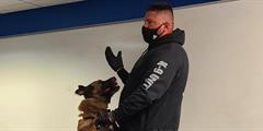 A parole K9 jumps on his handler during a demonstration