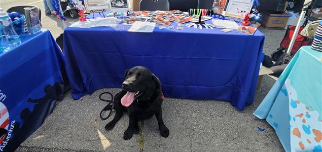 A service dog sits next to an informational table at an air show.