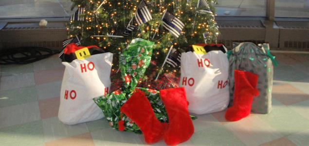 Presents underneath a Christmas tree.
