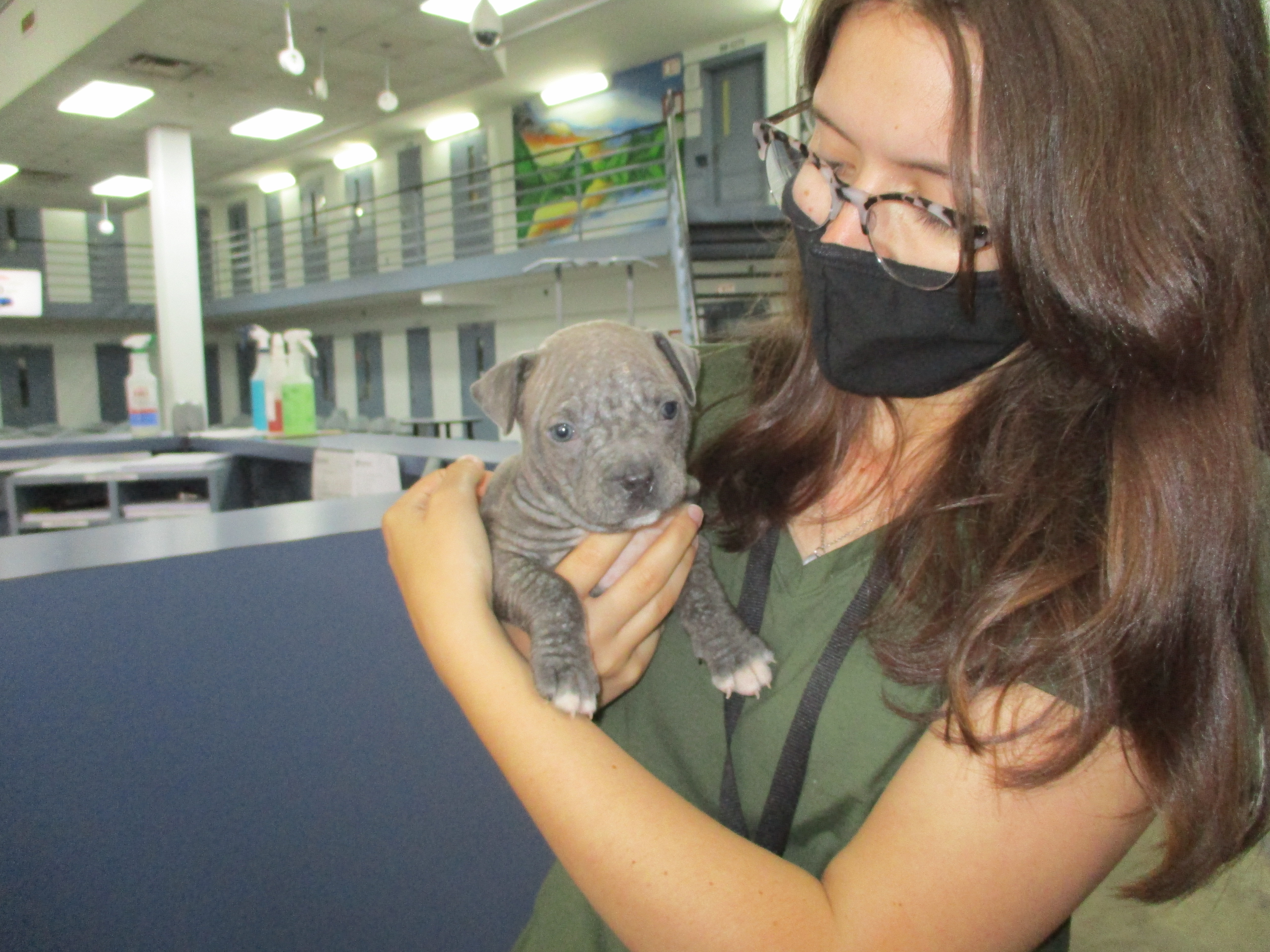 An intern holds a puppy