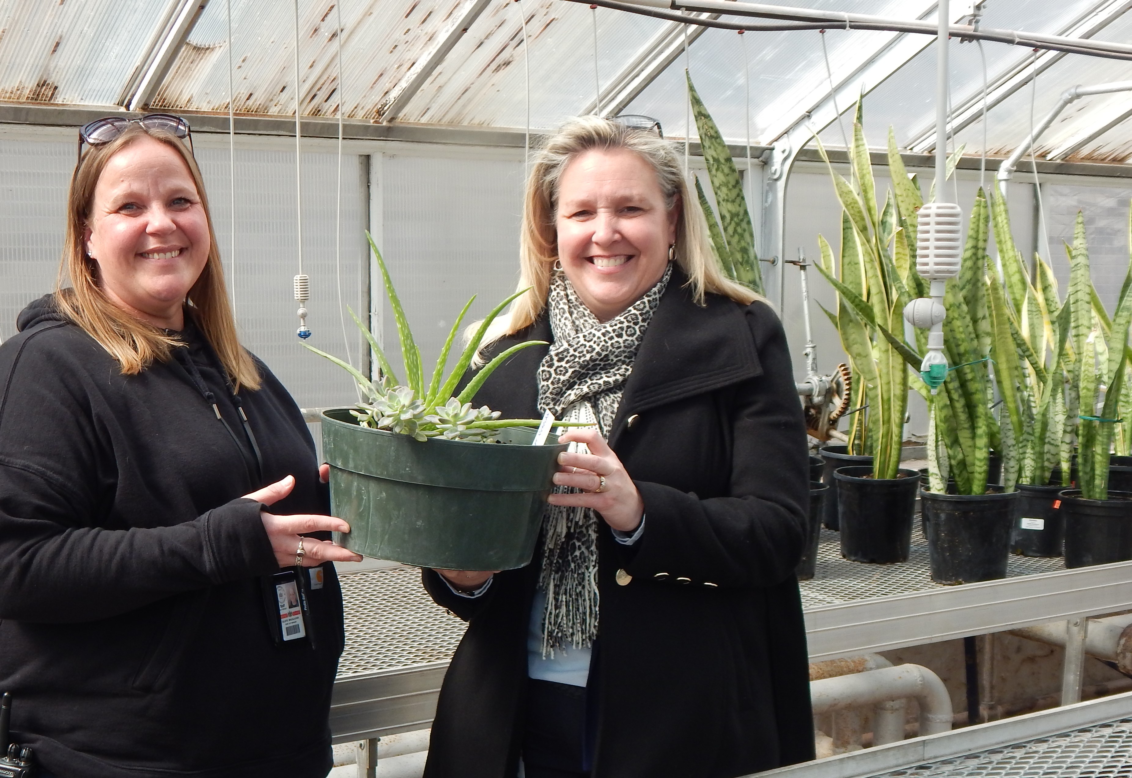 Two people in a greenhouse holding a plant